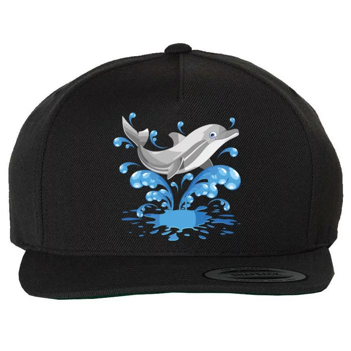 This Loves Dolphins Cute Funny Wool Snapback Cap