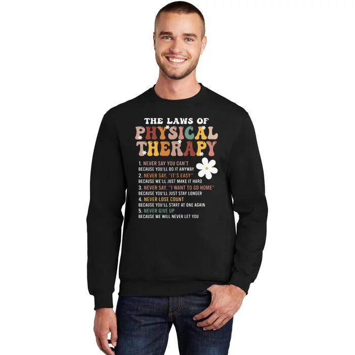 The Laws Of Physical Therapy Physical Therapist Sweatshirt