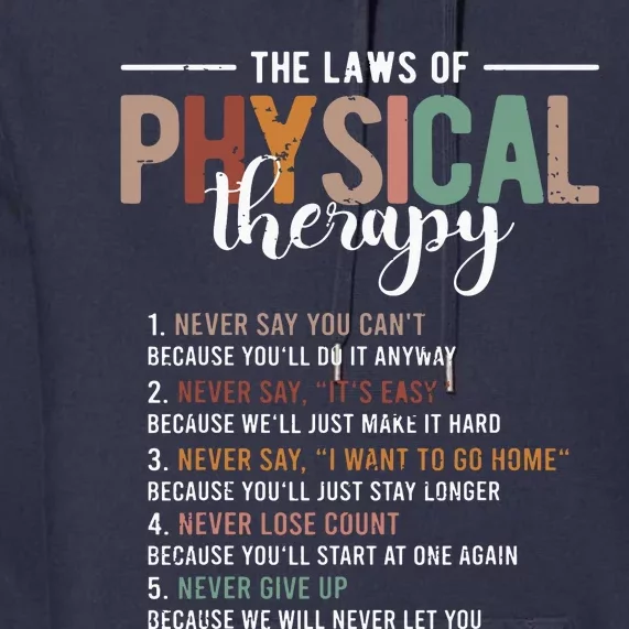 The Laws Of Physical Therapy Physical Therapist Premium Hoodie