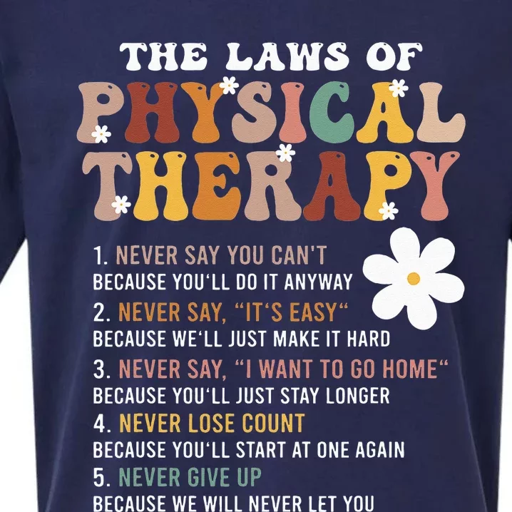 The Laws Of Physical Therapy – Physical Therapist Sueded Cloud Jersey T-Shirt