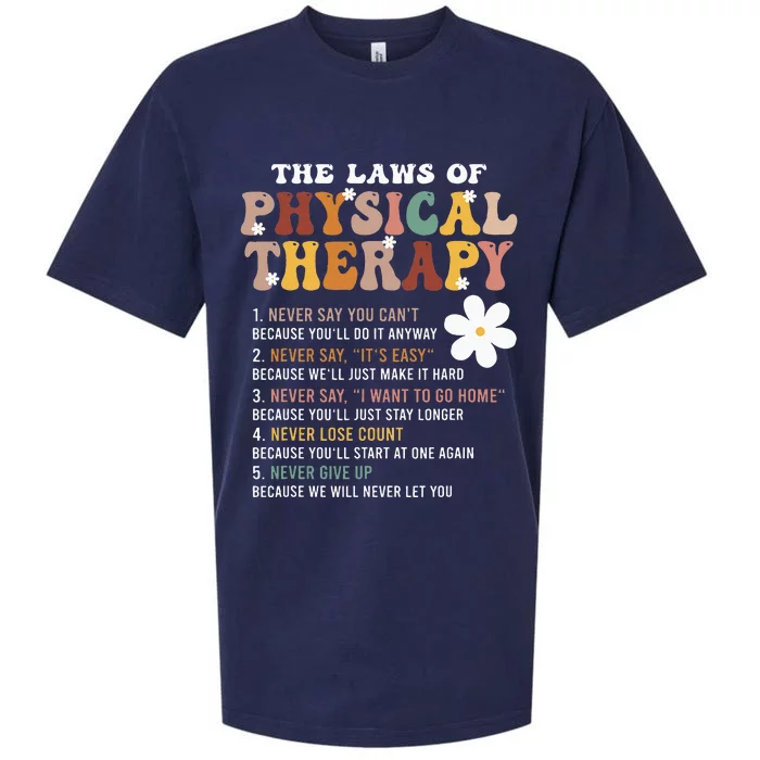 The Laws Of Physical Therapy – Physical Therapist Sueded Cloud Jersey T-Shirt