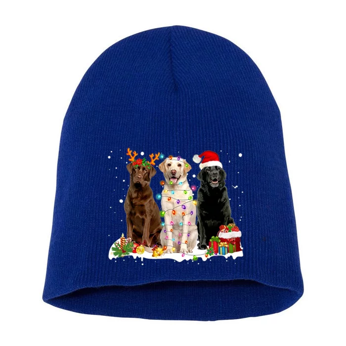 Three Labrador Retriever Xmas Labrador Retriever Lover Gift Short Acrylic Beanie