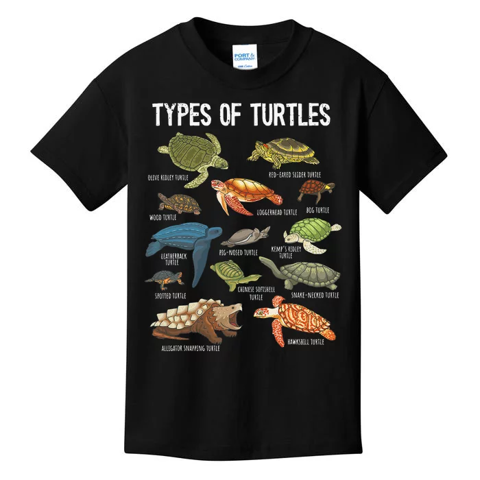 Turtle Lover Reptile Pet Turtle Types Of Turtles Kids T-Shirt