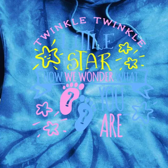 Twinkle Little Star How We Wonder What You Are Gender Reveal Gift Tie Dye Hoodie