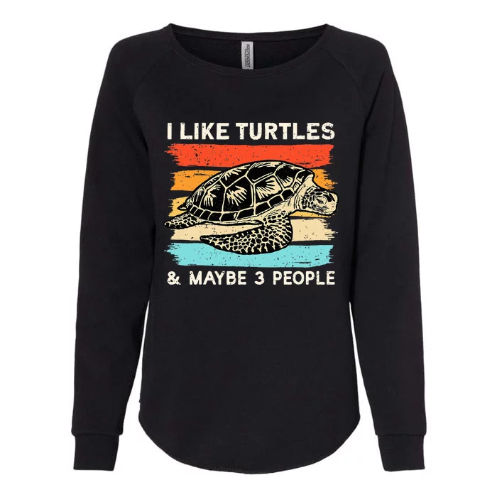 Turtle Lover, Turtle Art, Types Turtle, Turtle Womens California Wash Sweatshirt