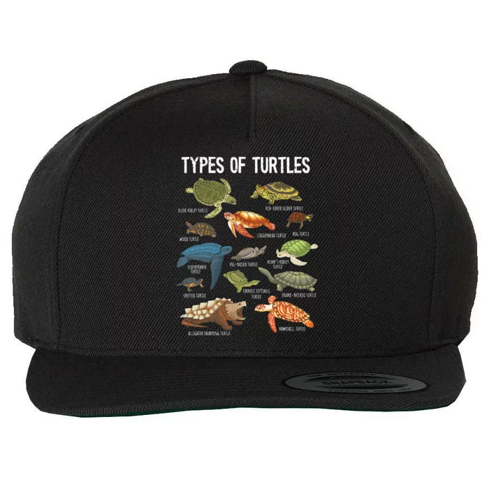 Turtle Lover Turtle Art Types Turtle Turtle Wool Snapback Cap