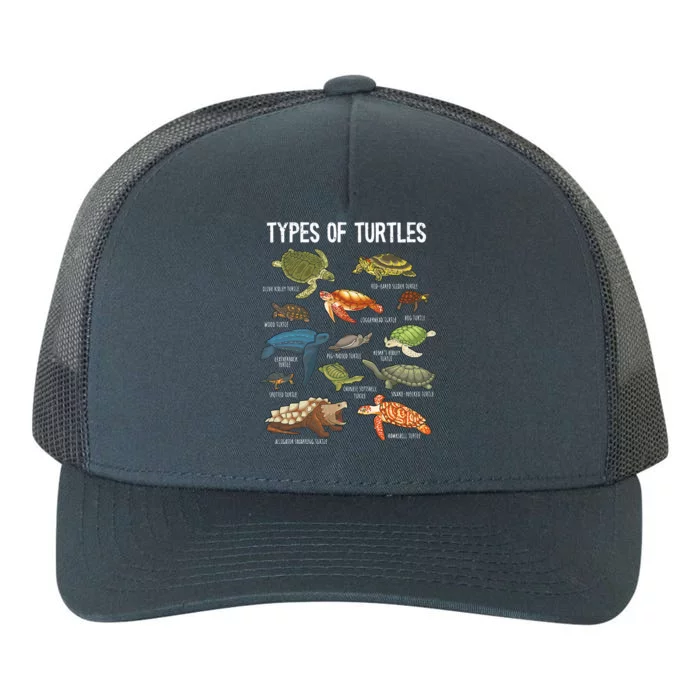 Turtle Lover Turtle Art Types Turtle Turtle Yupoong Adult 5-Panel Trucker Hat