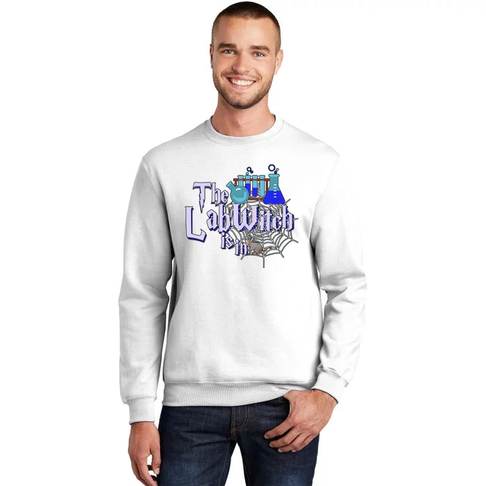 The Lab Witch Is In Fun Lab Tech Medical Science Teacher Lab Week Sweatshirt