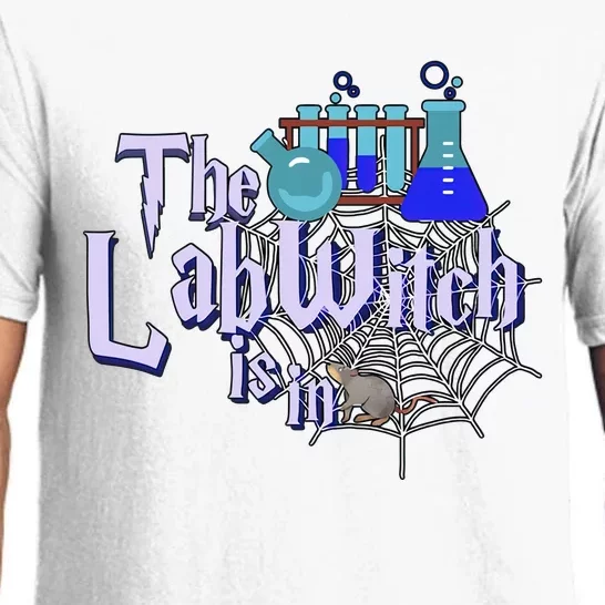 The Lab Witch Is In Fun Lab Tech Medical Science Teacher Lab Week Pajama Set