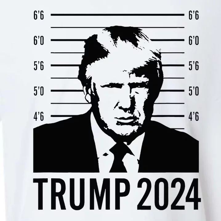 Trump Mugshot 2024 President Sueded Cloud Jersey T-Shirt