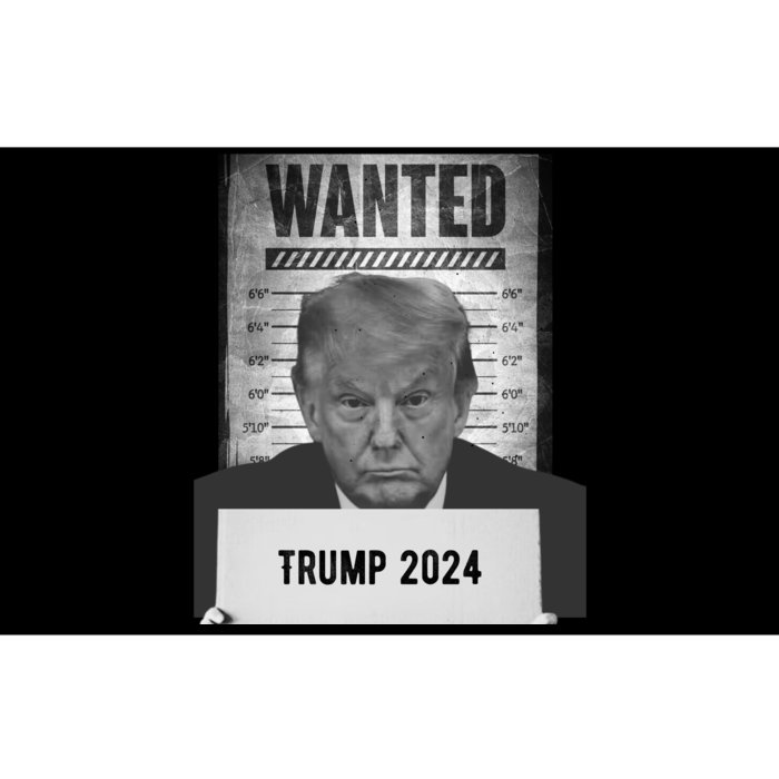 Trump Mugshot 2024 President Bumper Sticker