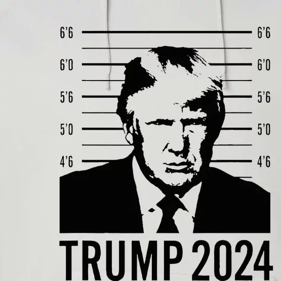 Trump Mugshot 2024 President Performance Fleece Hoodie