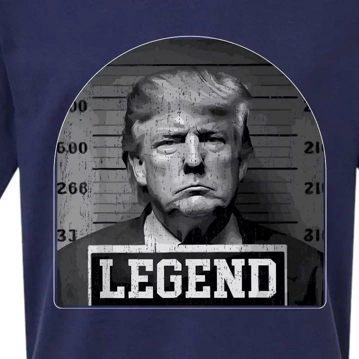 Trump Mugshot 2024 President Legend Sueded Cloud Jersey T-Shirt