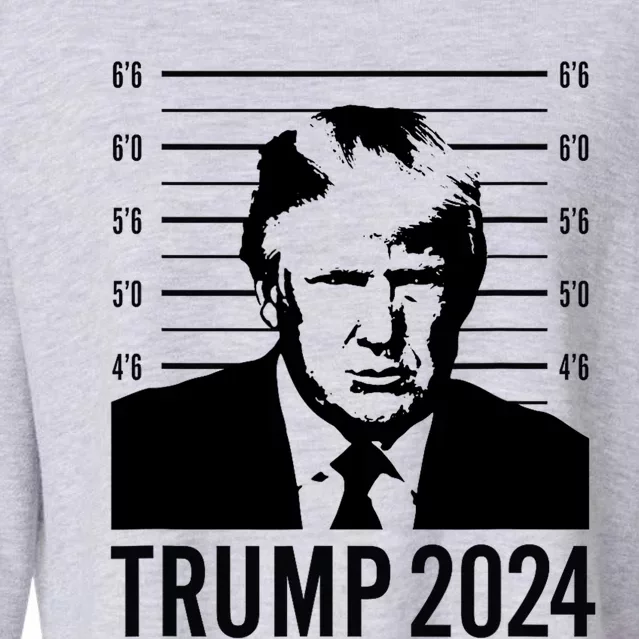 Trump Mugshot 2024 President Cropped Pullover Crew