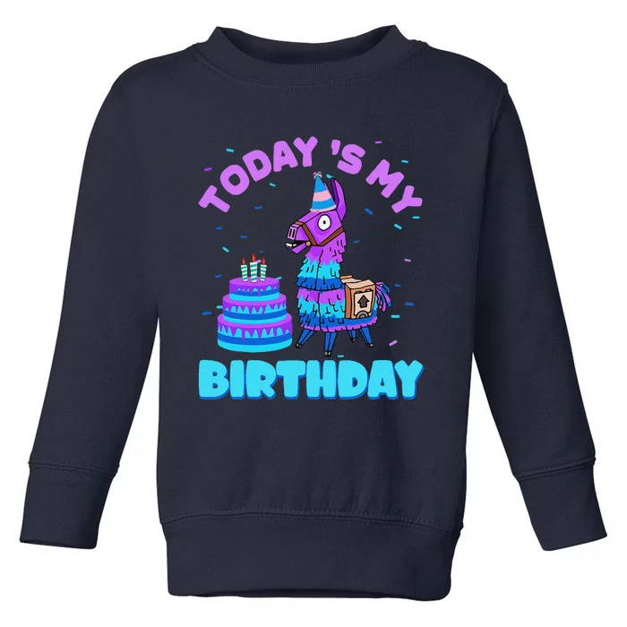 Todays My Birthday Llama Family Party Decorations Toddler Sweatshirt