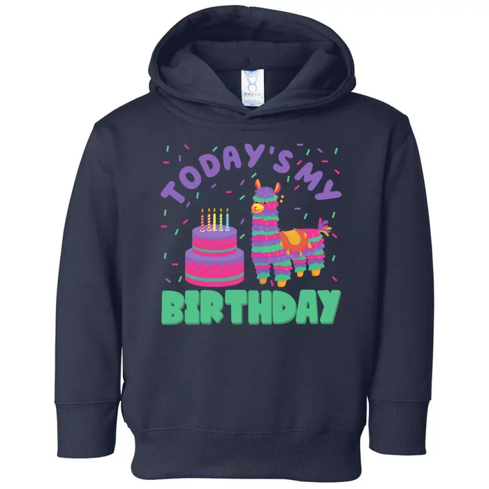 Todays My Birthday Llama Party Toddler Hoodie