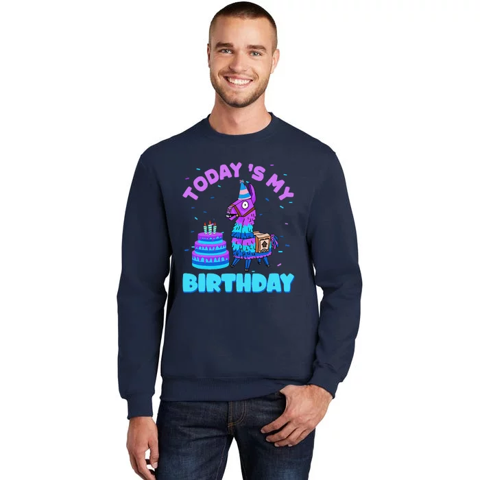 Todays My Birthday Llama Boy Family Party Decorations Tall Sweatshirt