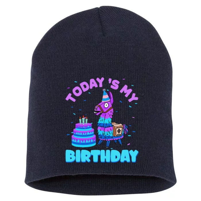 Todays My Birthday Llama Boy Family Party Decorations Short Acrylic Beanie