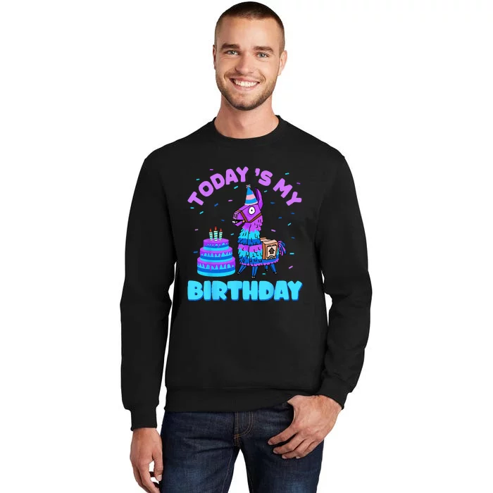 Todays My Birthday Llama Birthday Party Decorations Sweatshirt