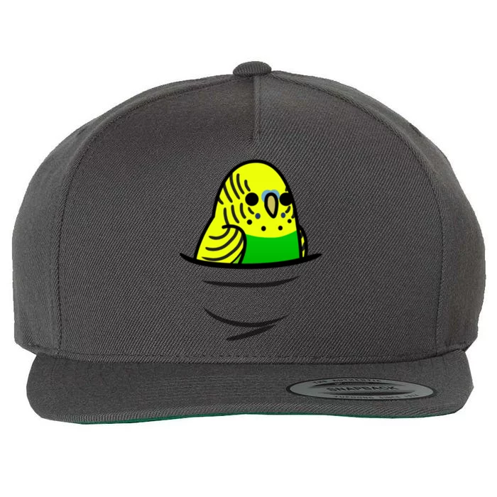 Too Many Birds! Yellow N&X27; Green Budgie Wool Snapback Cap