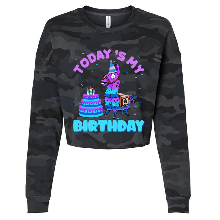 Todays My Birthday Llama Family Party Decorations Cropped Pullover Crew