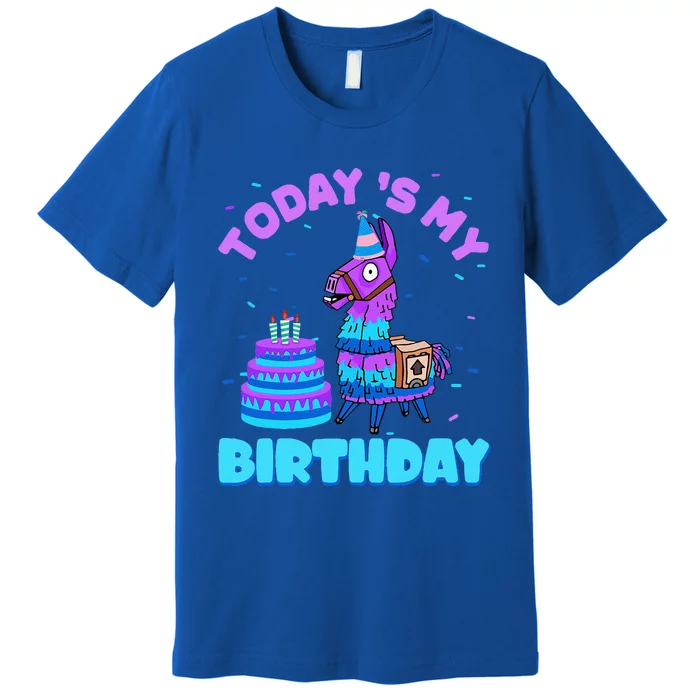 Todays My Birthday Llama Family Party Decorations Premium T-Shirt