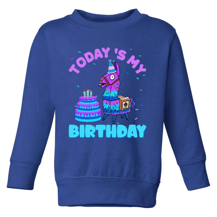 Todays My Birthday Llama Family Party Decorations Toddler Sweatshirt