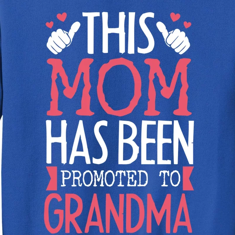 This Mom Got Promoted To Grandma Saying For Mother Cute Gift Sweatshirt