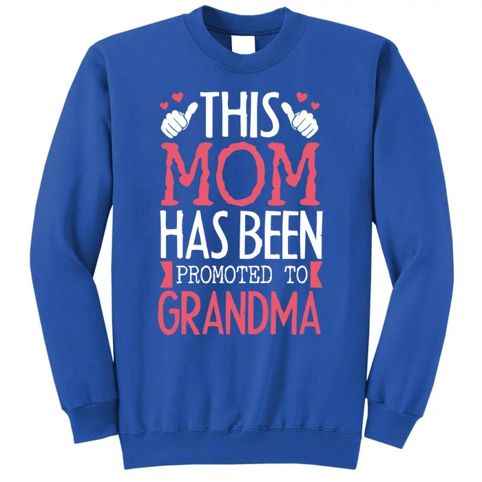 This Mom Got Promoted To Grandma Saying For Mother Cute Gift Sweatshirt