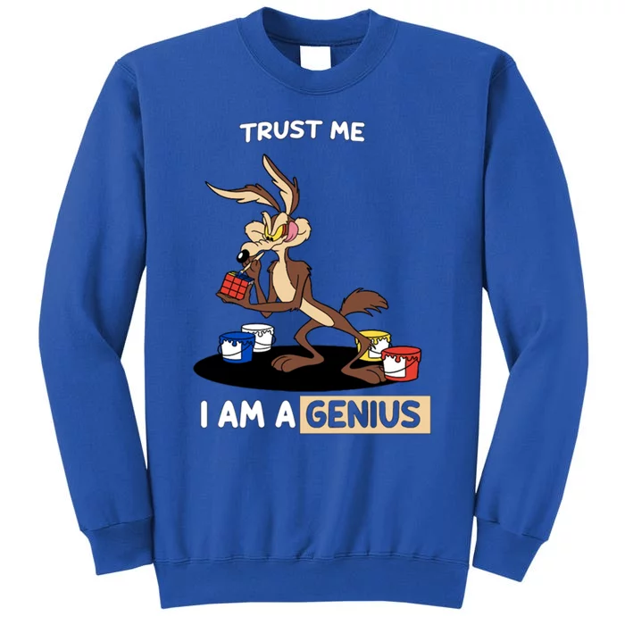 Trust Me I Am A Genius Sweatshirt