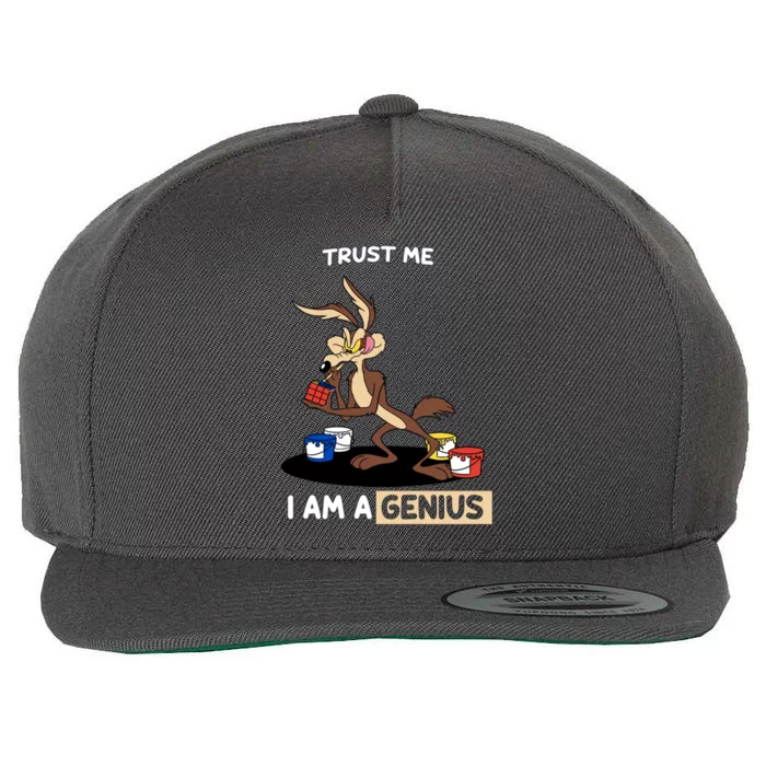 Trust Me I Am A Genius Wool Snapback Cap