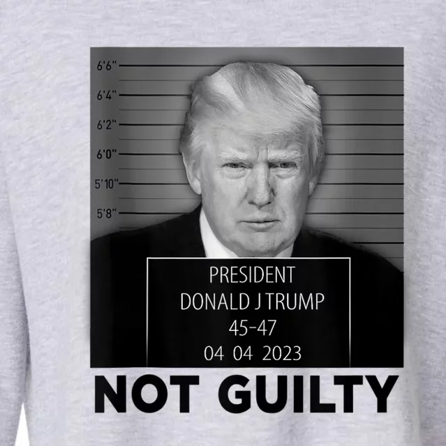 Trump Mugshot Not Guilty 4547 President Trump Arrest Cropped Pullover Crew