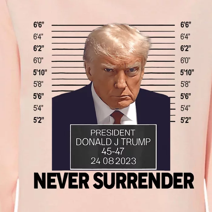 Trump Mug Shot Donald Trump Mug Shot Never Surrender Trending Design Womens California Wash Sweatshirt