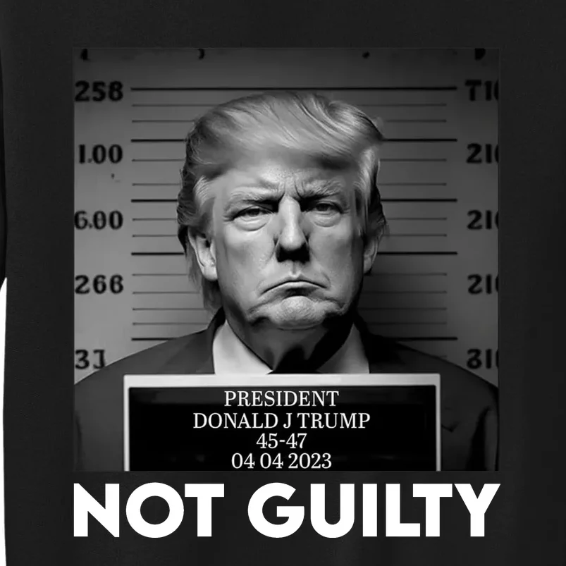 Trump Mug Shot, Trump Not Guilty Pro Trump Supporter Sweatshirt