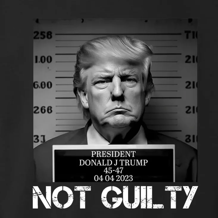 Trump Mug Shot, Trump Not Guilty Pro Trump Supporter Toddler Hoodie