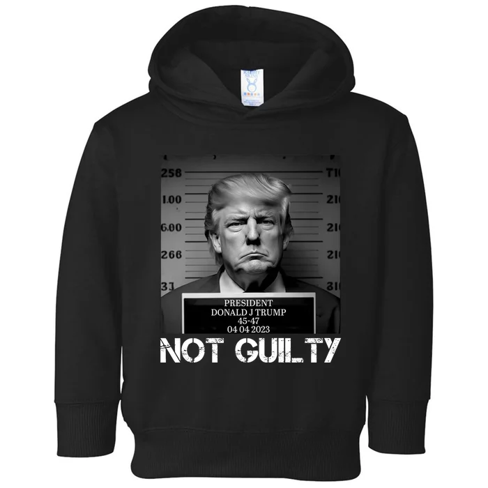 Trump Mug Shot, Trump Not Guilty Pro Trump Supporter Toddler Hoodie