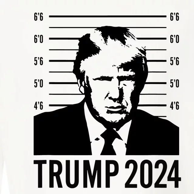 Donald Trump Mugshot Mug Election 2024 Coffee Cup Inmate No. P01135809 –  Cute But Rude