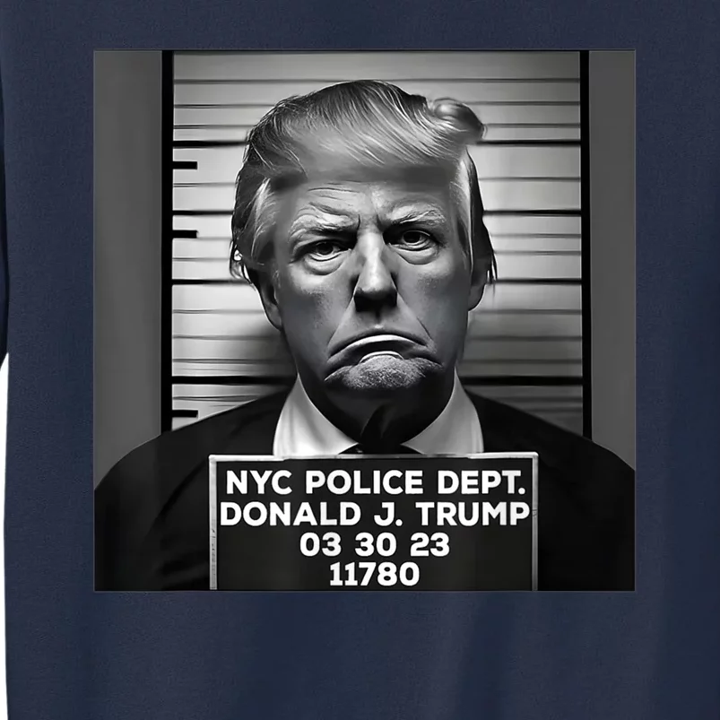 Trump Mug Shot Trump MugShot 2024 Sweatshirt | TeeShirtPalace