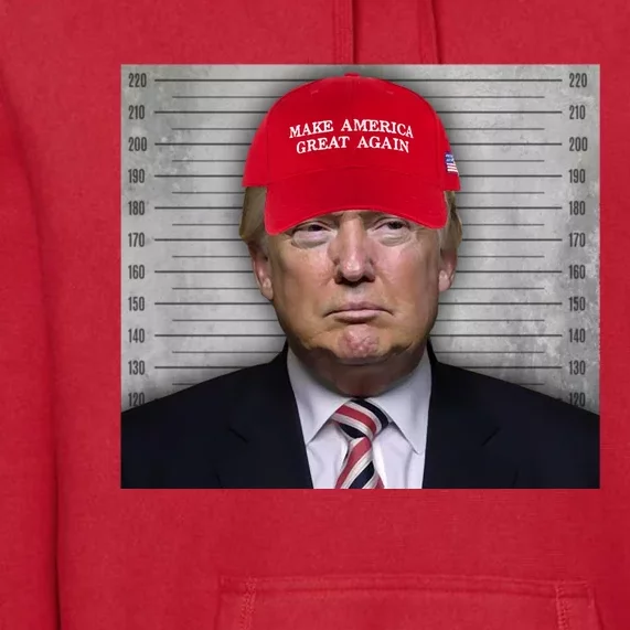 Trump Mugshot MAGA Premium Hoodie