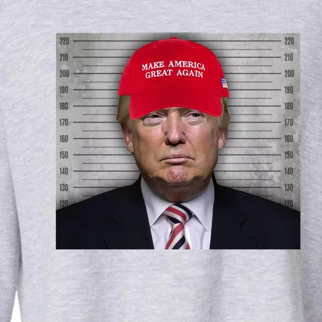 Trump Mugshot MAGA Cropped Pullover Crew