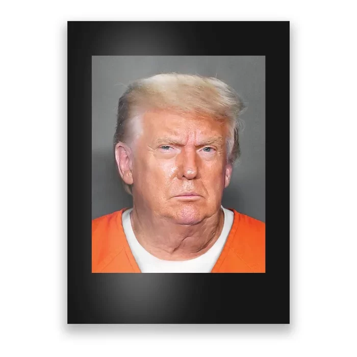 Trump Mugshot Poster