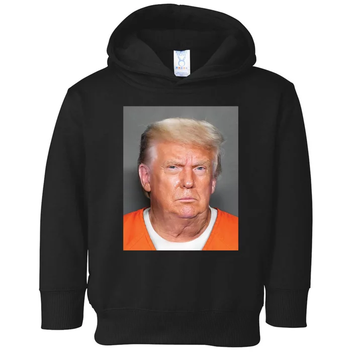 Trump Mugshot Toddler Hoodie