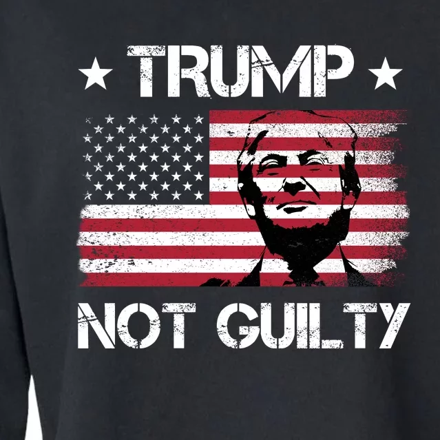 Trump Mug Shot, Trump Not Guilty Pro Trump Supporter Cropped Pullover Crew