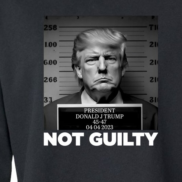 Trump Mug Shot, Trump Not Guilty Pro Trump Supporter Cropped Pullover ...