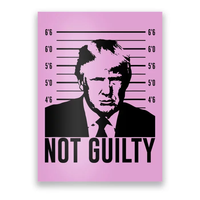 Trump Mug Shot, Trump Not Guilty Pro Trump Supporter Poster