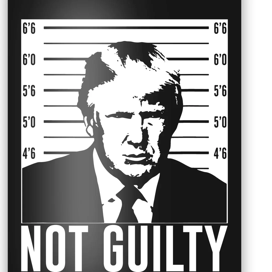 Trump Mug Shot, Trump Not Guilty Pro Trump Supporter Poster