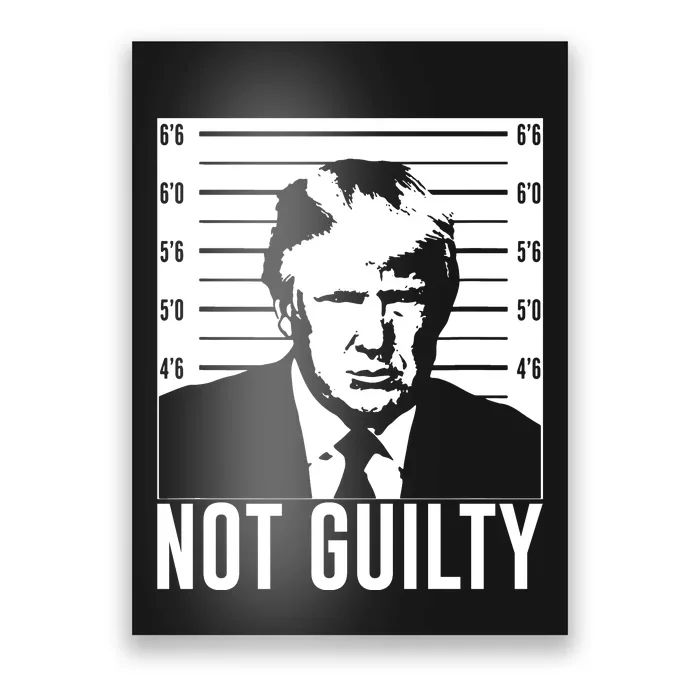 Trump Mug Shot, Trump Not Guilty Pro Trump Supporter Poster