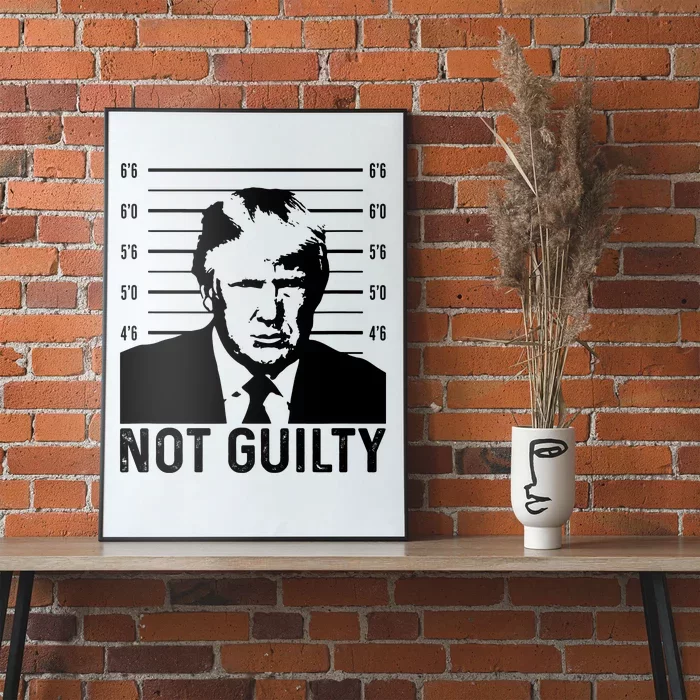 Trump Mug Shot, Trump Not Guilty Pro Trump Supporter Poster