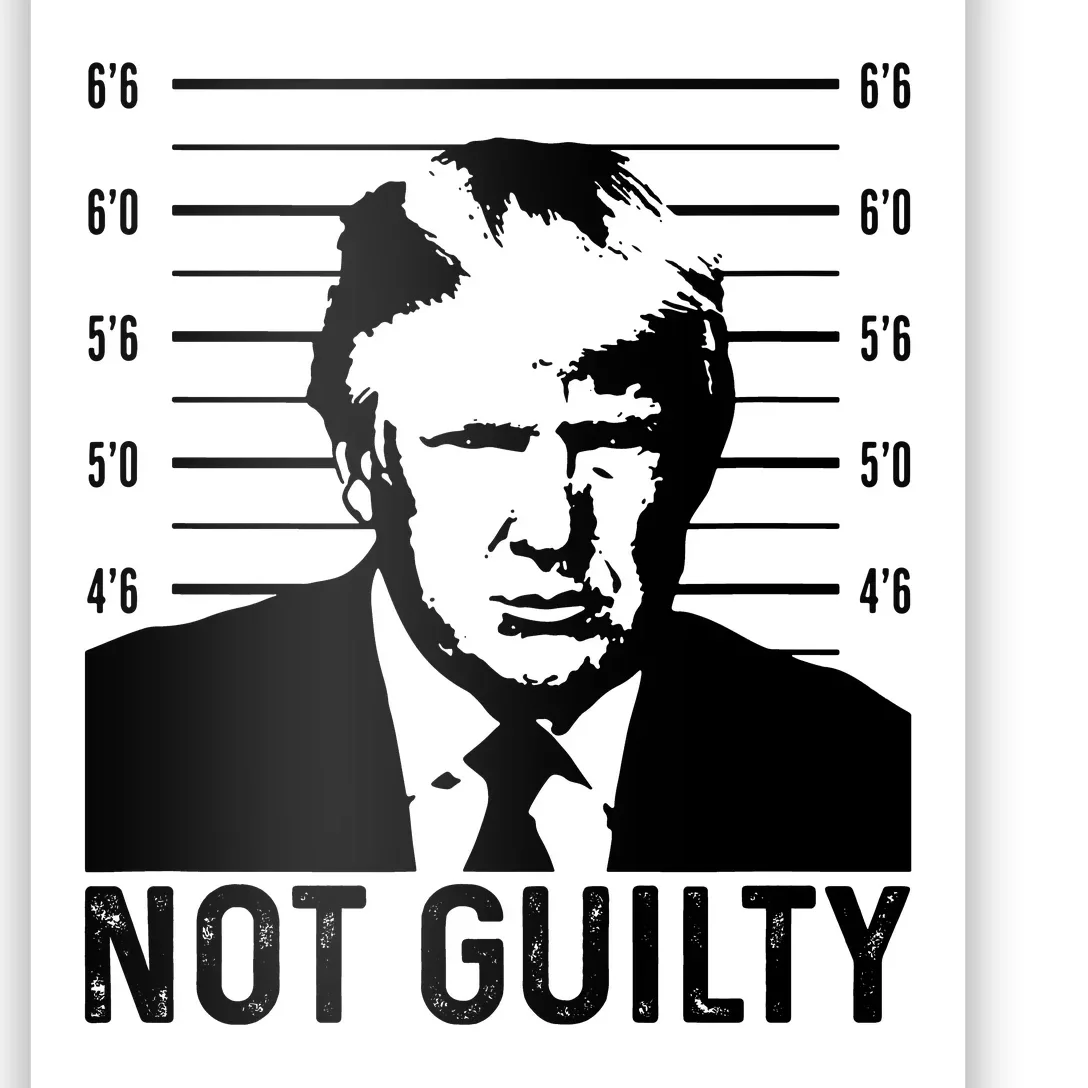 Trump Mug Shot, Trump Not Guilty Pro Trump Supporter Poster