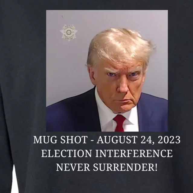 Trump Mug Shot Donald J Trump Mugshot Cropped Pullover Crew